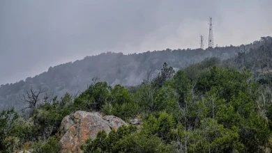 صورة الضباب يلف سفوح جبال الباحة في مشهد بديع يجذب الزوار والمصطافين