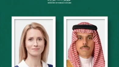 صورة وزير الخارجية يبحث مستجدات الأوضاع في غزة مع الممثلة العليا للاتحاد الأوروبي