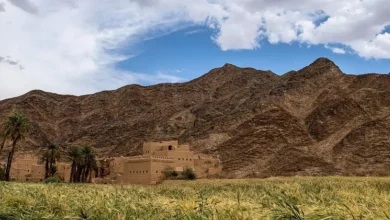 صورة القلاع الحصينة وبيوت الطين العتيقة من شواهد الحضارة القديمة بمحافظة حبونا
