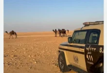 صورة ضبط مواطن لارتكابه مخالفة رعي في محمية الإمام عبدالعزيز بن محمد الملكية