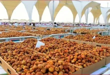 صورة طريق التمور الأول دوليا لفتح منافذ تسويقية على مستوى العالم
