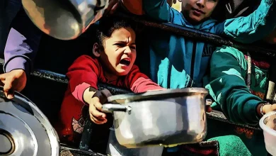 صورة وزراء خارجية 24 دولة يدعون إلى تحرك عاجل لوقف المجاعة في غزة