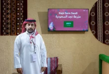 صورة مزرعة سعودية تبيع كامل معروضها في المزاد الدولي لمزارع إنتاج الصقور 2025