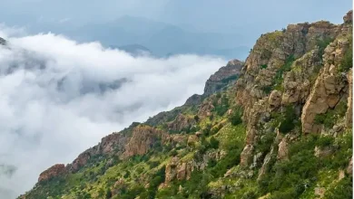 صورة مركز الشفا.. لوحة طبيعية بكر بين قمم السروات