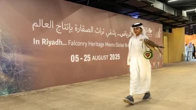 صورة المزاد الدولي لمزارع إنتاج الصقور 2025