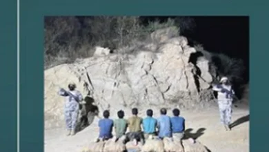 صورة القبض على 6 مخالفين لتهريبهم 90 كيلوجرامًا من القات في جازان