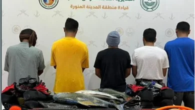 صورة حرس الحدود بالمدينة يضبط 5 مخالفين للائحة الأمن والسلامة لمزاولي الأنشطة البحرية