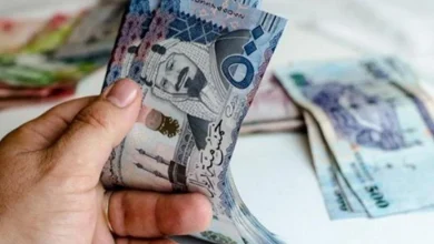 صورة آلية دراسة طلب الاستحقاق في الضمان الاجتماعي.. وموعد صدور نتيجة الأهلية
