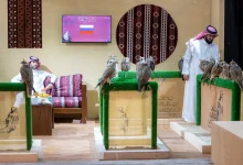 صورة مزرعة “آر يو في إس” الروسية تسجل مشاركتها الأولى في المزاد الدولي لمزارع إنتاج الصقور 2025