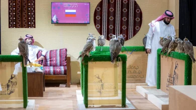 صورة مزرعة “آر يو في إس” الروسية تسجل مشاركتها الأولى في المزاد الدولي لمزارع إنتاج الصقور 2025
