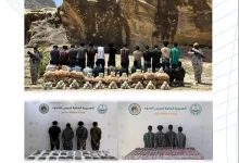 صورة إحباط تهريب 350 ألف قرص إمفيتامين و1,5 مليون قرص خاضع لتنظيم التداول الطبي و2.6 طن حشيش