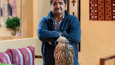صورة صاحب مزرعة “بيرناردو فالكونز” يشيد بالمستوى العالمي لمزاد مزارع إنتاج الصقور 2025