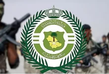 صورة القبض على 8 أشخاص لتهريبهم المخدرات في المنطقة الشرقية والرياض وعسير