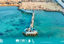صورة إغلاق شاطئ اللؤلؤ مؤقتًا لمدة أسبوعين