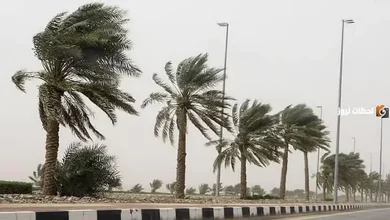صورة رياح نشطة على منطقة تبوك وأمطار على الباحة