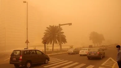 صورة تراجع العواصف الغبارية والرملية في المملكة بنسبة 53% خلال 2025