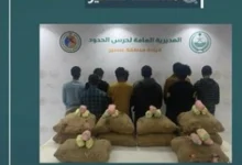 صورة القبض على 10 مخالفين لتهريبهم 180 كيلوجرامًا من القات في عسير