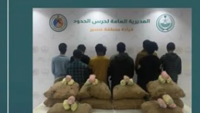 صورة القبض على 10 مخالفين لتهريبهم 180 كيلوجرامًا من القات في عسير