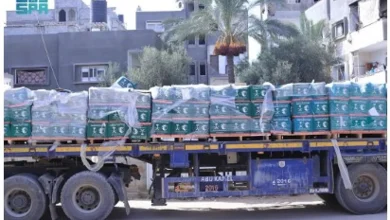صورة مقدمة من «سلمان الإغاثي».. قافلة إغاثية سعودية جديدة تصل إلى قطاع غزة