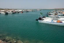 صورة «الإرشاد الزراعي» تحث الصيادين على اتباع تعليمات الصيد حفاظا على المخزون السمكي