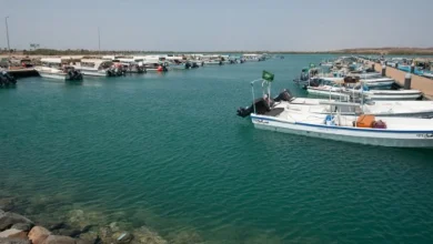 صورة «الإرشاد الزراعي» تحث الصيادين على اتباع تعليمات الصيد حفاظا على المخزون السمكي