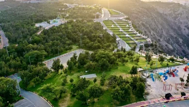 صورة رغدان.. أيقونة اعتدال الأجواء وسحر الطبيعة