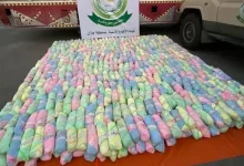 صورة إحباط تهريب 29 كيلوجرامًا من نبات القات المخدر بجازان