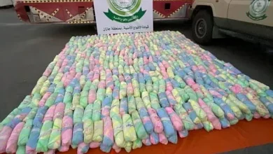 صورة إحباط تهريب 29 كيلوجرامًا من نبات القات المخدر بجازان