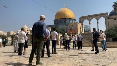صورة أدّوا جولات استفزازية في باحاته.. مستوطنون يقتحمون المسجد الأقصى مجددًا