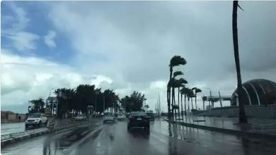 صورة طقس الأربعاء.. أمطار رعدية متوسطة إلى غزيرة ورياح نشطة على عدة مناطق