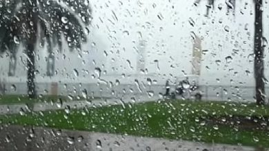 صورة أمطار متوسطة ورياح شديدة السرعة على منطقة الباحة