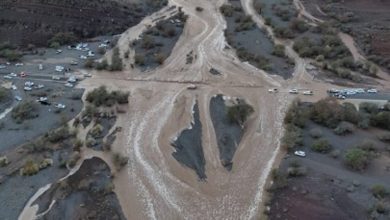 صورة سيول الحناة والفارة بمحافظة وادي الفرع جنوب المدينة المنورة (صور)