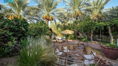 صورة المزارع الريفية.. نموذج للسياحة في حائل