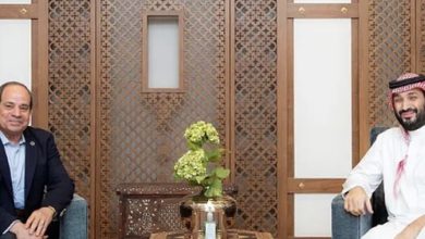 صورة السيسي و بن سلمان يؤكدان رفض تهجير أهل قطاع غزة ..