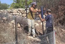 صورة تقرير: الإدارة الأميركية “تمنح الغطاء” لضم الضفة