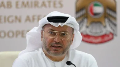 صورة أنور قرقاش: الإمارات تستمر بثبات في مسار النجاح والتنمية
