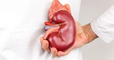 صورة ما التأثيرات التي تطرأ على كليتيك نتيجة قلة شرب الماء؟