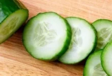 صورة ما التوقيت المناسب لتناول الخيار قبل أم بعد الأكل وكيف يساعد في خسارة الوزن