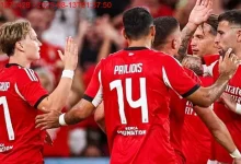صورة حلم عبد المنعم يتلاشى.. نيس يودع تصفيات دوري أبطال أوروبا بخسارة أمام بنفيكا