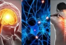 صورة علماء يدرسون إمكانية التنبؤ بالتصلب المتعدد قبل سنوات من حدوث الإصابة