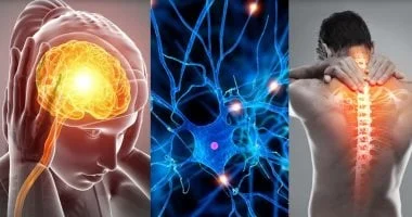 صورة علماء يدرسون إمكانية التنبؤ بالتصلب المتعدد قبل سنوات من حدوث الإصابة