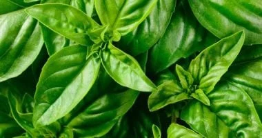 صورة دراسة: هذا المشروب يخفض التوتر بنسبة 36% ويحسن النوم