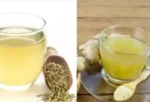 صورة 7 أعشاب أساسية لمرضى السكر.. من بينها بذور الحلبة والكركم