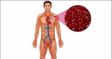 صورة أعراض ضعف الدورة الدموية والأمراض التي قد تدل عليها