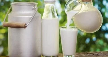 صورة اكتشف تأثير البكتيريا النافعة في الألبان المتخمرة