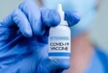 صورة Fda توافق على لقاحات كورونا المحدثة مع تقييد الفئات المؤهلة لتلقيها
