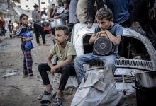 صورة 3 وفيات نتيجة المجاعة وسوء التغذية خلال الـ24 ساعة الماضية