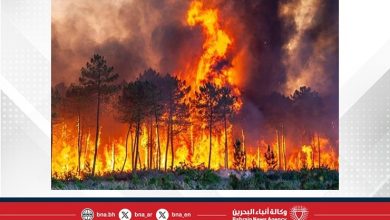 صورة إسبانيا تكافح حرائق غابات واسعة النطاق وتخلي 12 ألف شخص من منازلهم