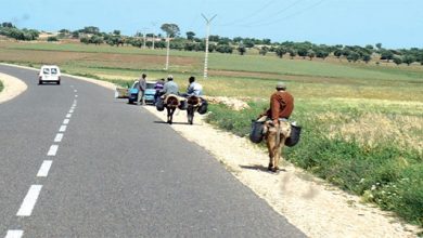 صورة مديرية الفلاحة بوزان تقول إنها أنجزت 610 كلمترات من المسالك القروية في 16 جماعة وتستعد لإنجاز 120 كلم إضافية