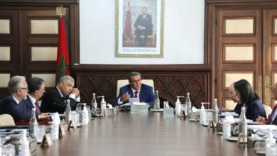 صورة توجيه الاستثمار العمومي نحو الجبل والمناطق الهشة وضمان حق المواطن دون تمييز أو إقصاء